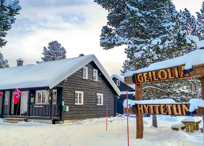 Geilolia Hyttetun *