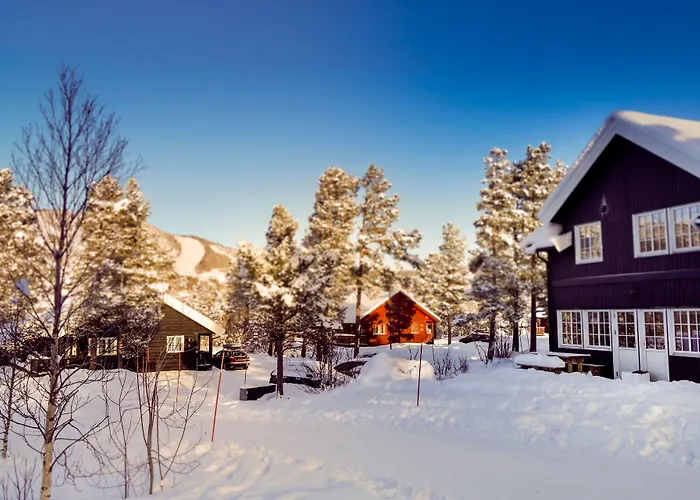 Geilolia Hyttetun Chalet
